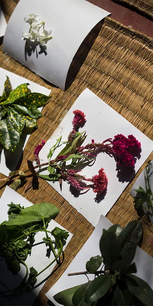 Patagonia x Rurban image 2