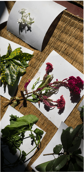 Patagonia x Rurban image 2